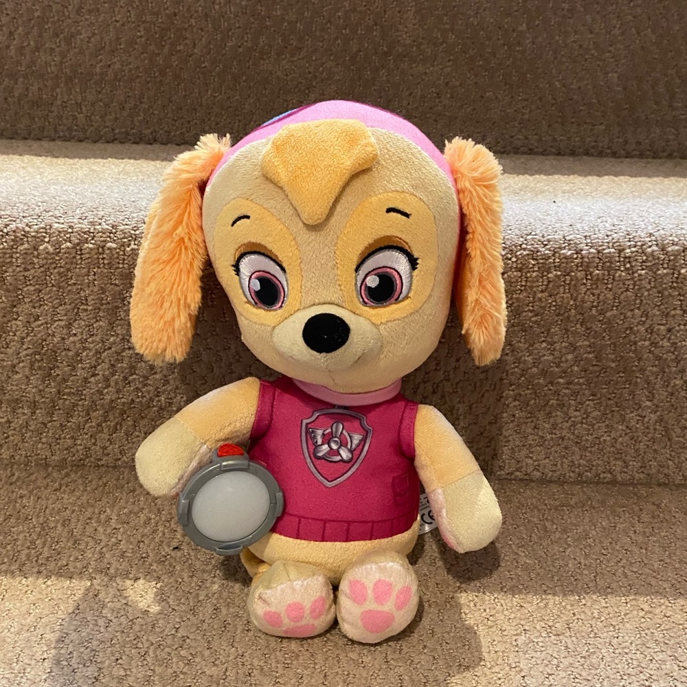Paw patrol sky with nightlight